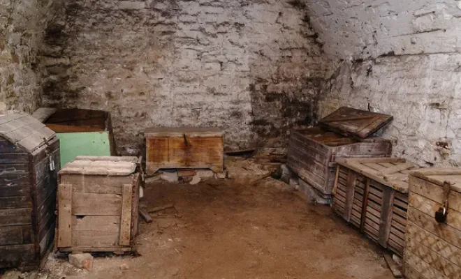 Rénovation de cave à Paris : transformez votre sous-sol en espace utile